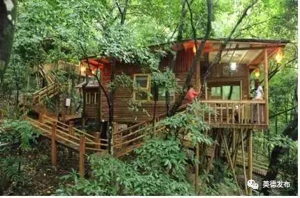 九州驿站-尧山天门沟自然教育基地创建启动仪式(图9)