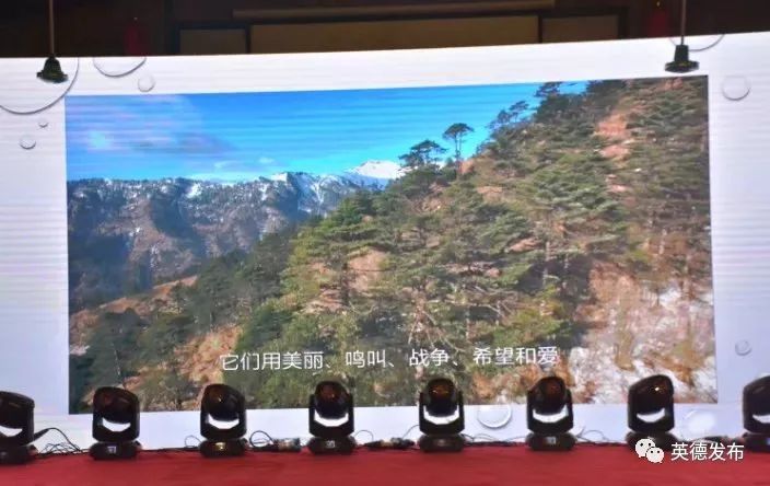 九州驿站-尧山天门沟自然教育基地创建启动仪式(图15)