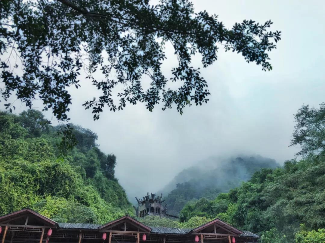 时间开始了，我在九州驿站树上人家找回了自己(图4)