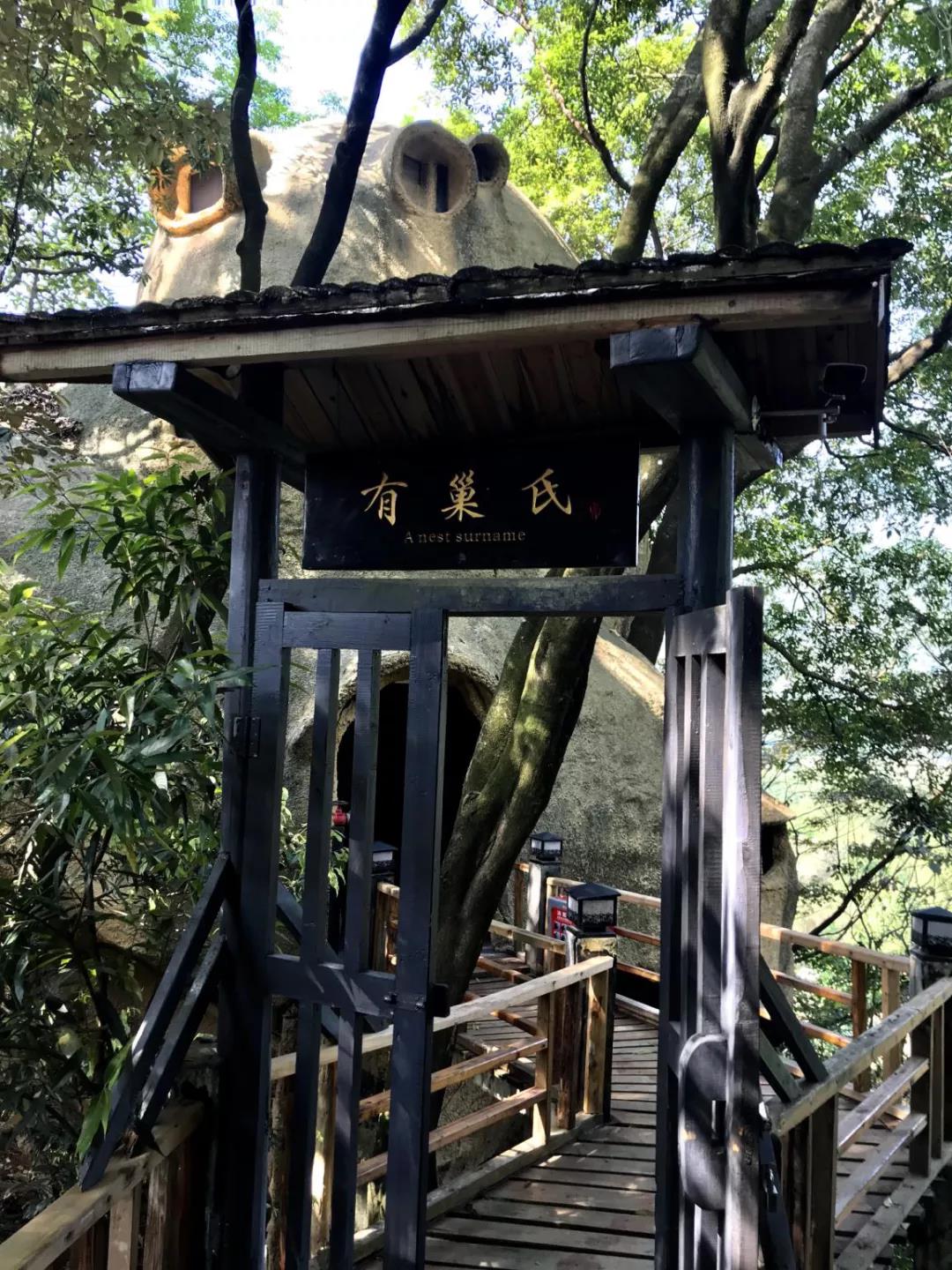 时间开始了，我在九州驿站树上人家找回了自己(图5)