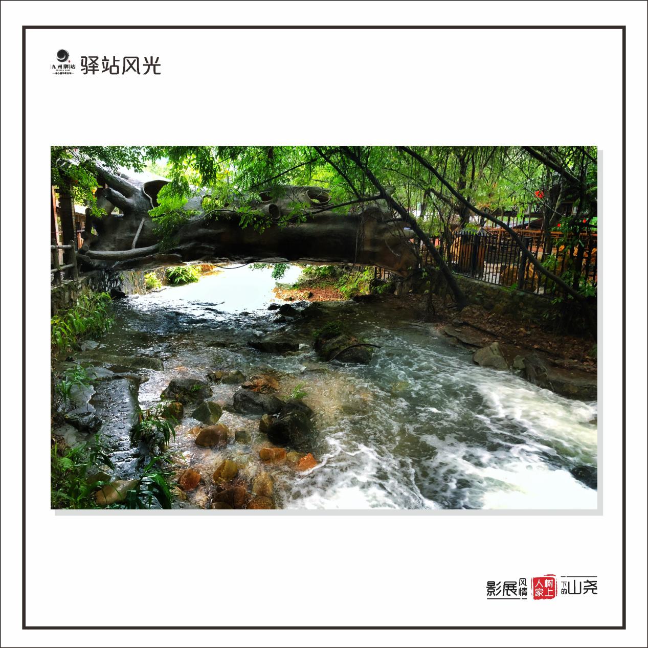 儿童节来了,诚邀您来一次回归自然的亲子游(图4)
