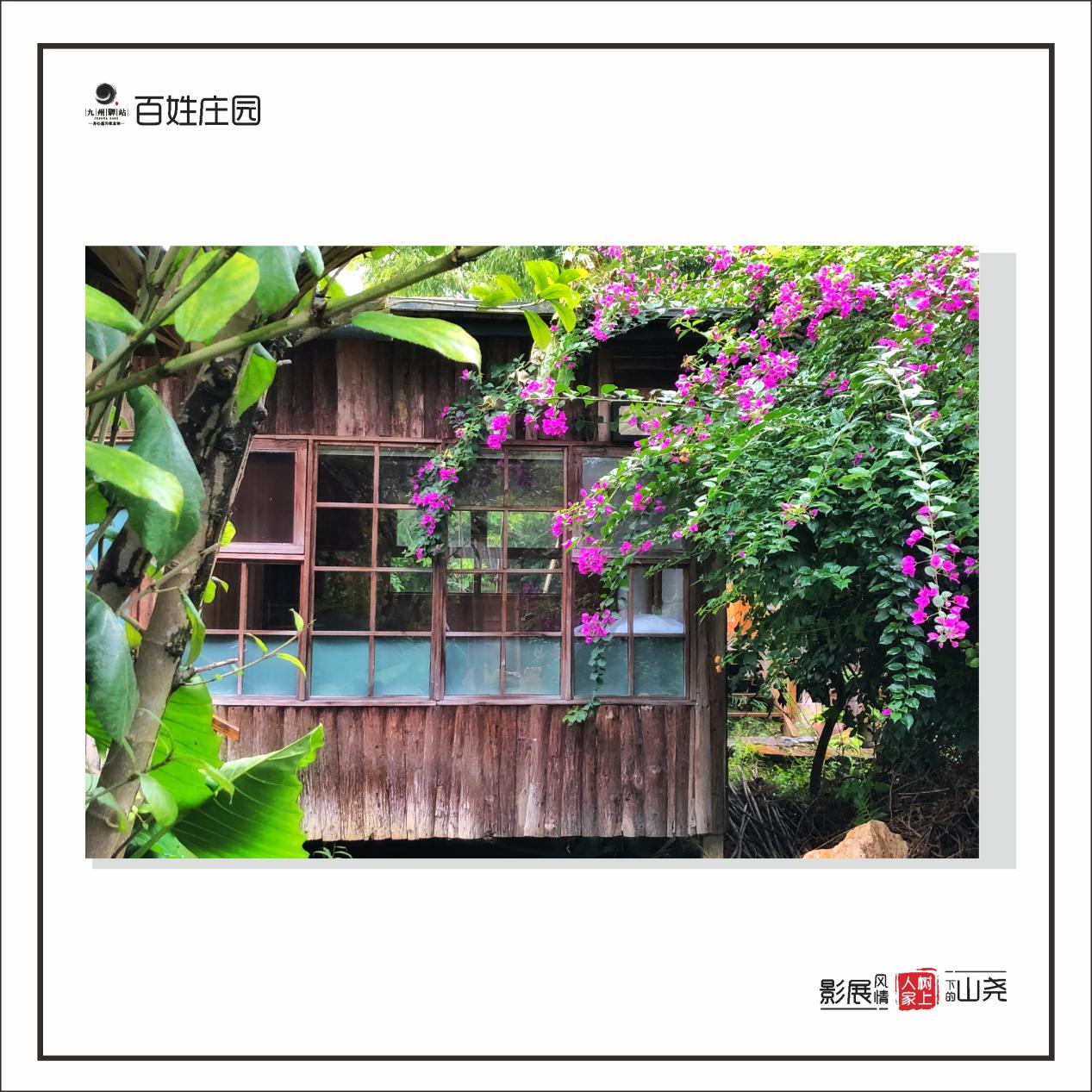 儿童节来了,诚邀您来一次回归自然的亲子游(图15)