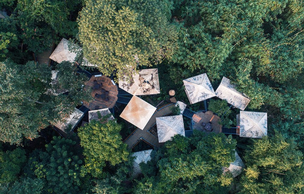 树屋村(图3)