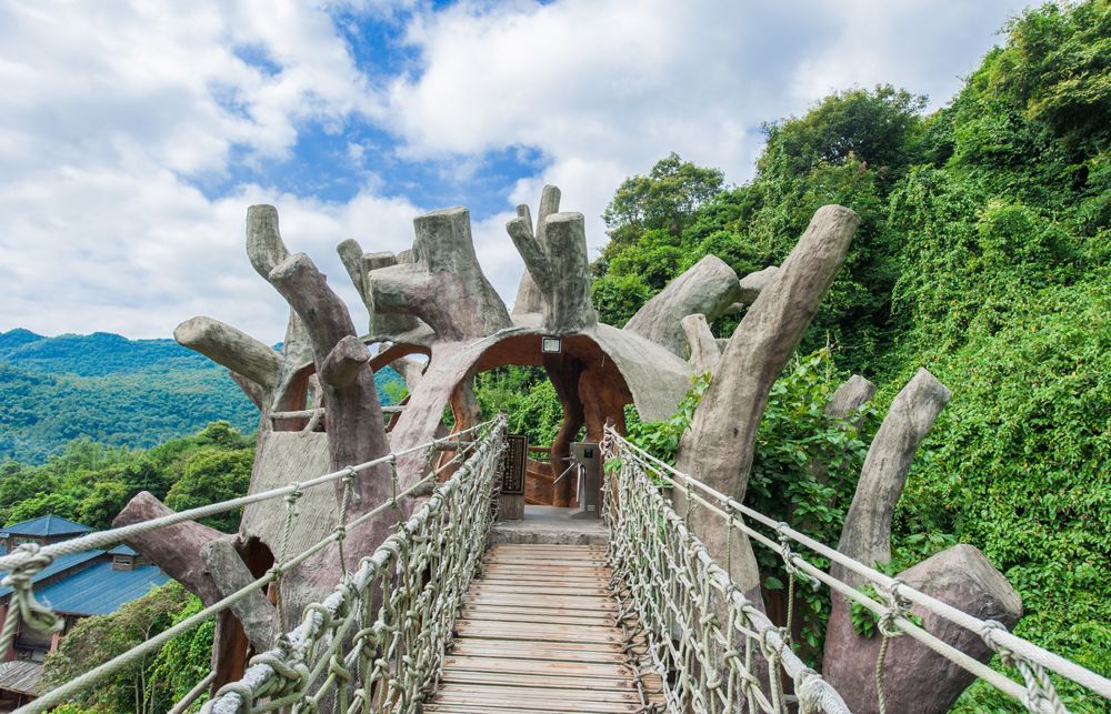 树屋村(图4)