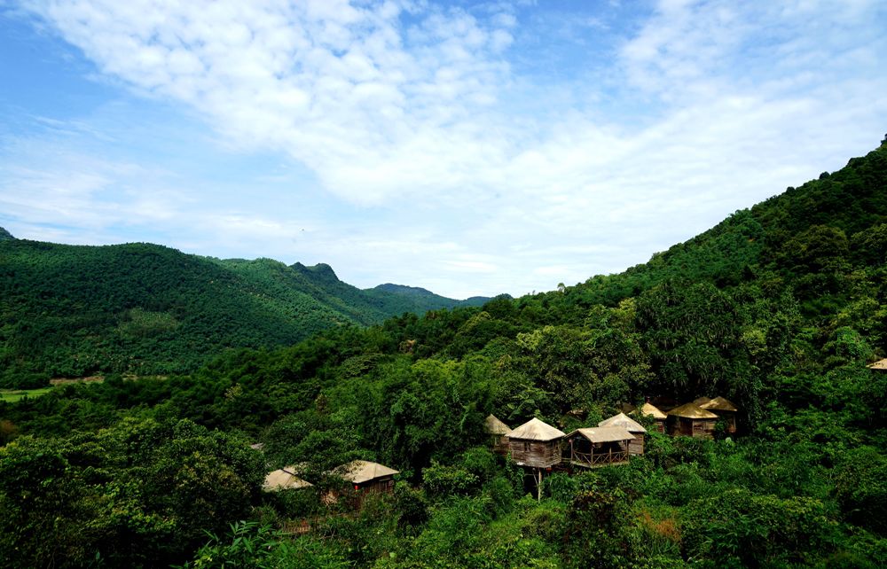 树屋村(图5)