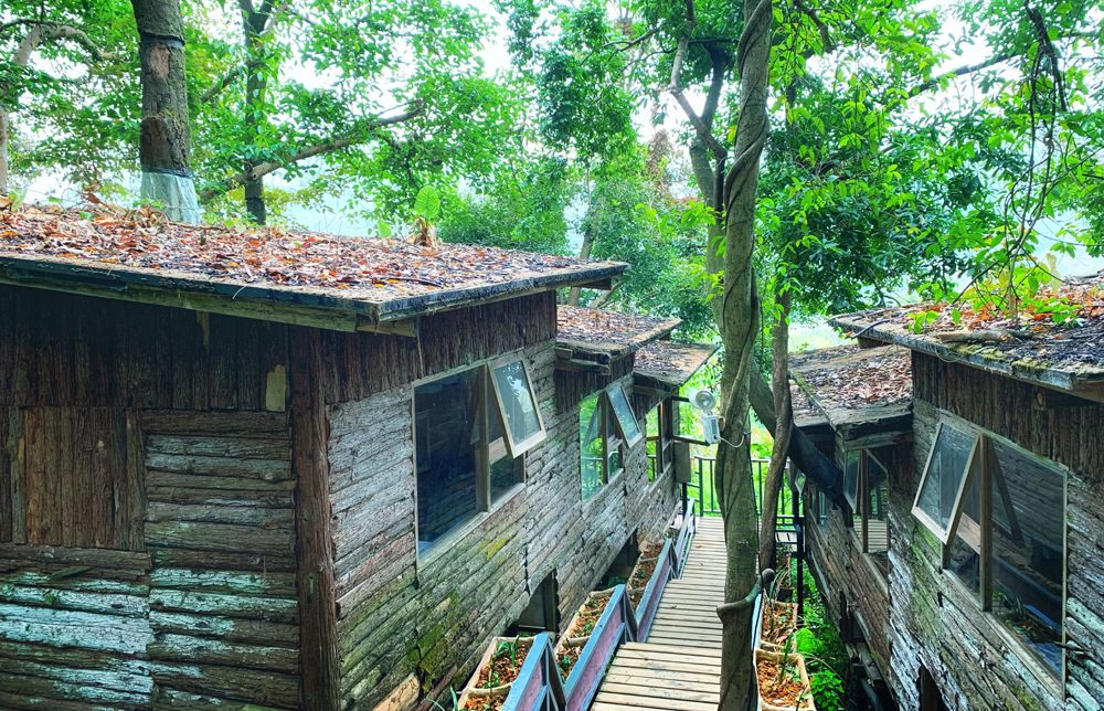 树屋村(图7)