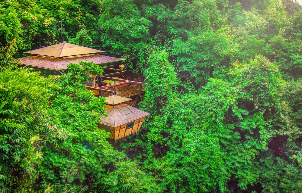 树屋村(图10)