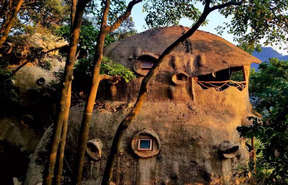 树屋村