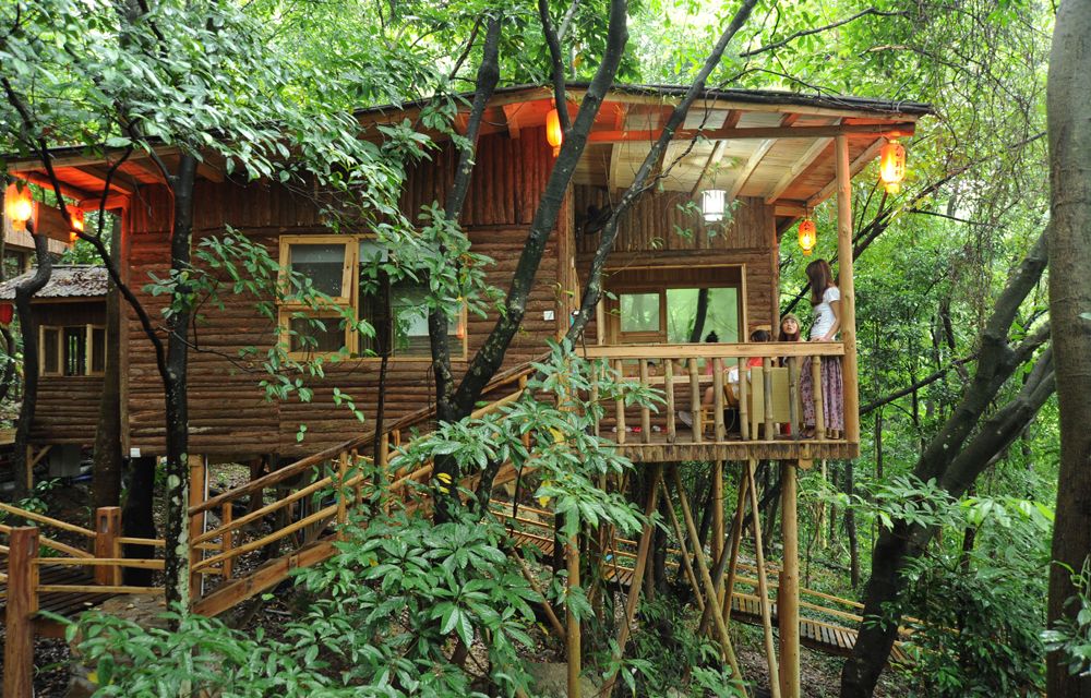 树屋村(图11)