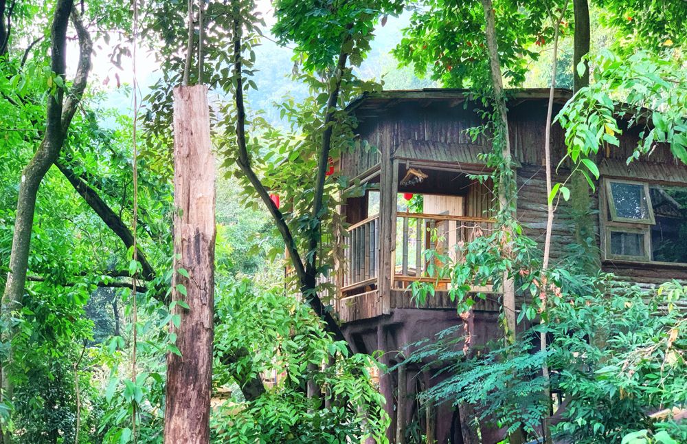 树屋村(图13)
