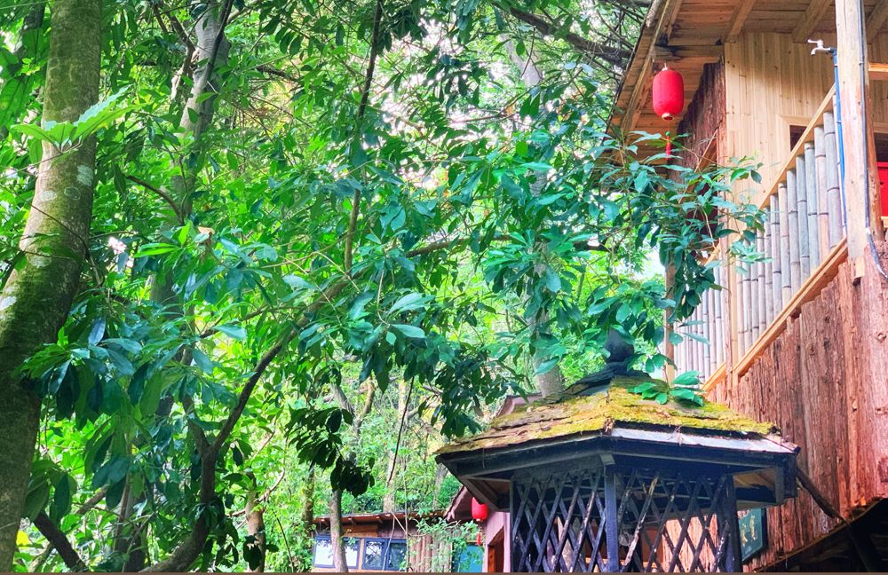 树屋村(图14)