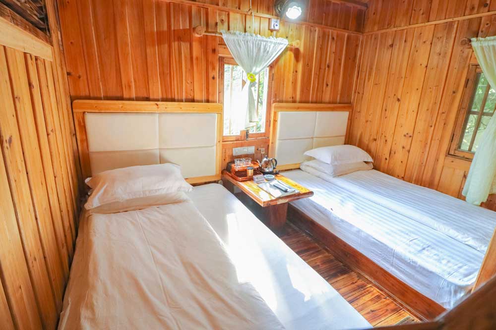 O型树上围屋(图5)