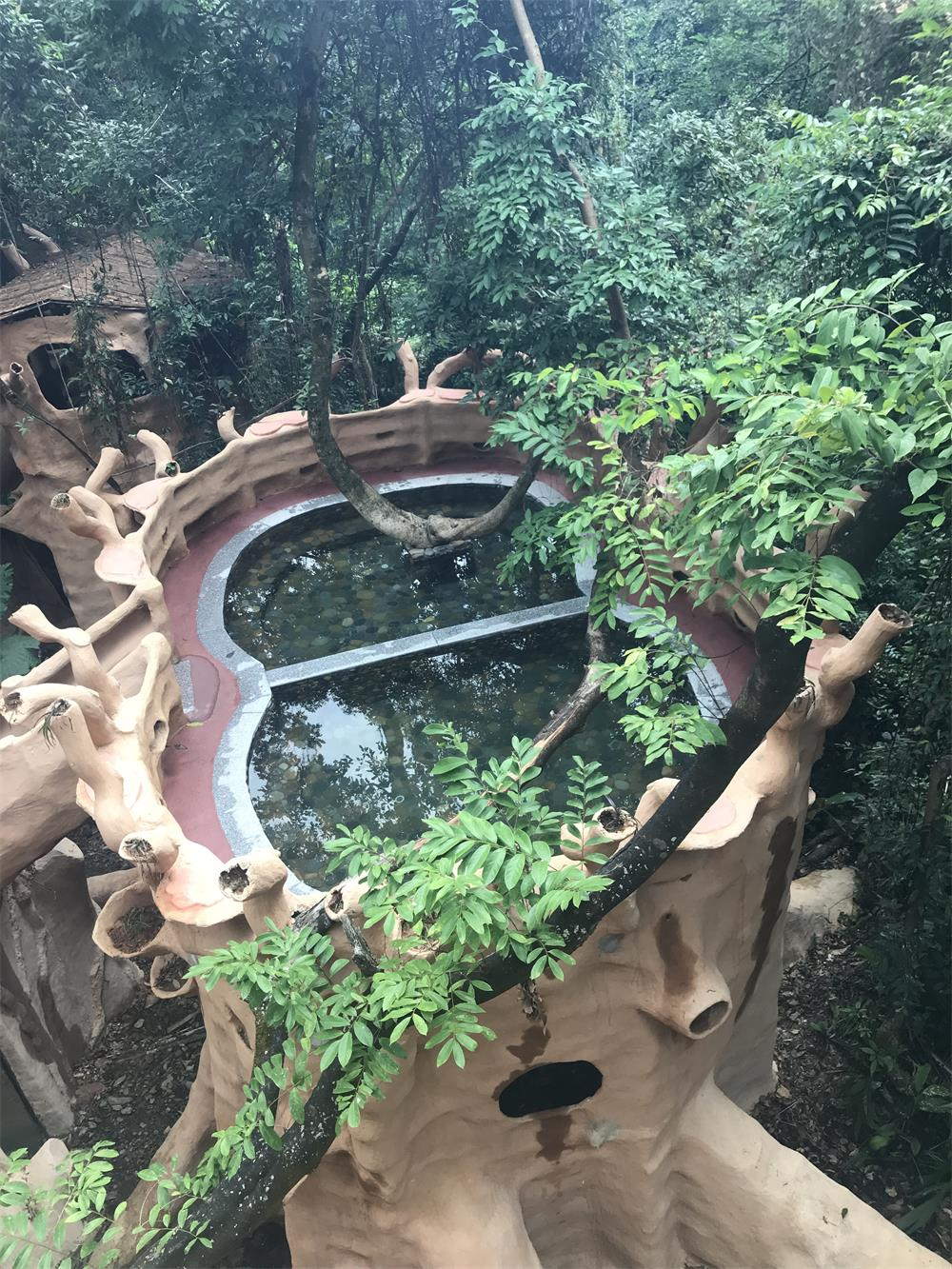 树上汤泉(图7)